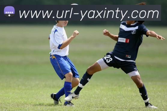 亚新体育服务体系