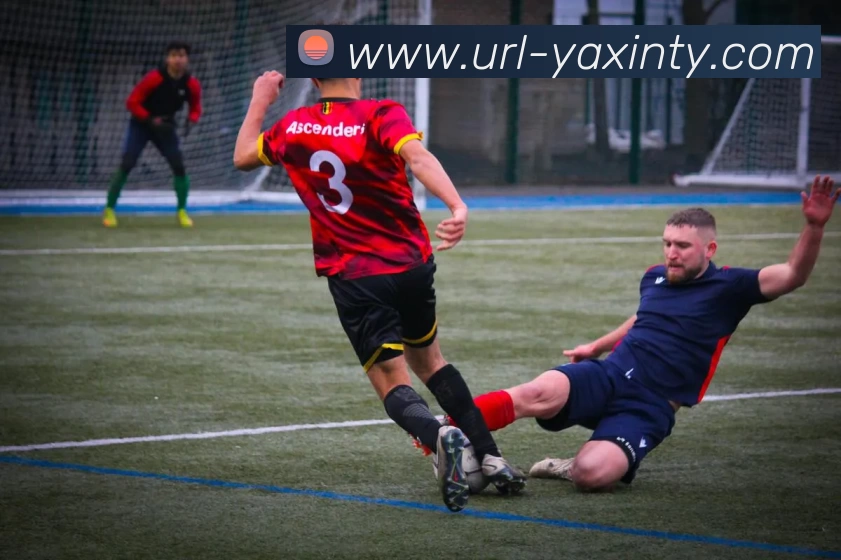 多媒体互动体验